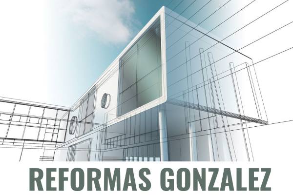 Reformas González