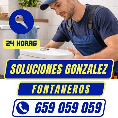 Fontaneros profesionales